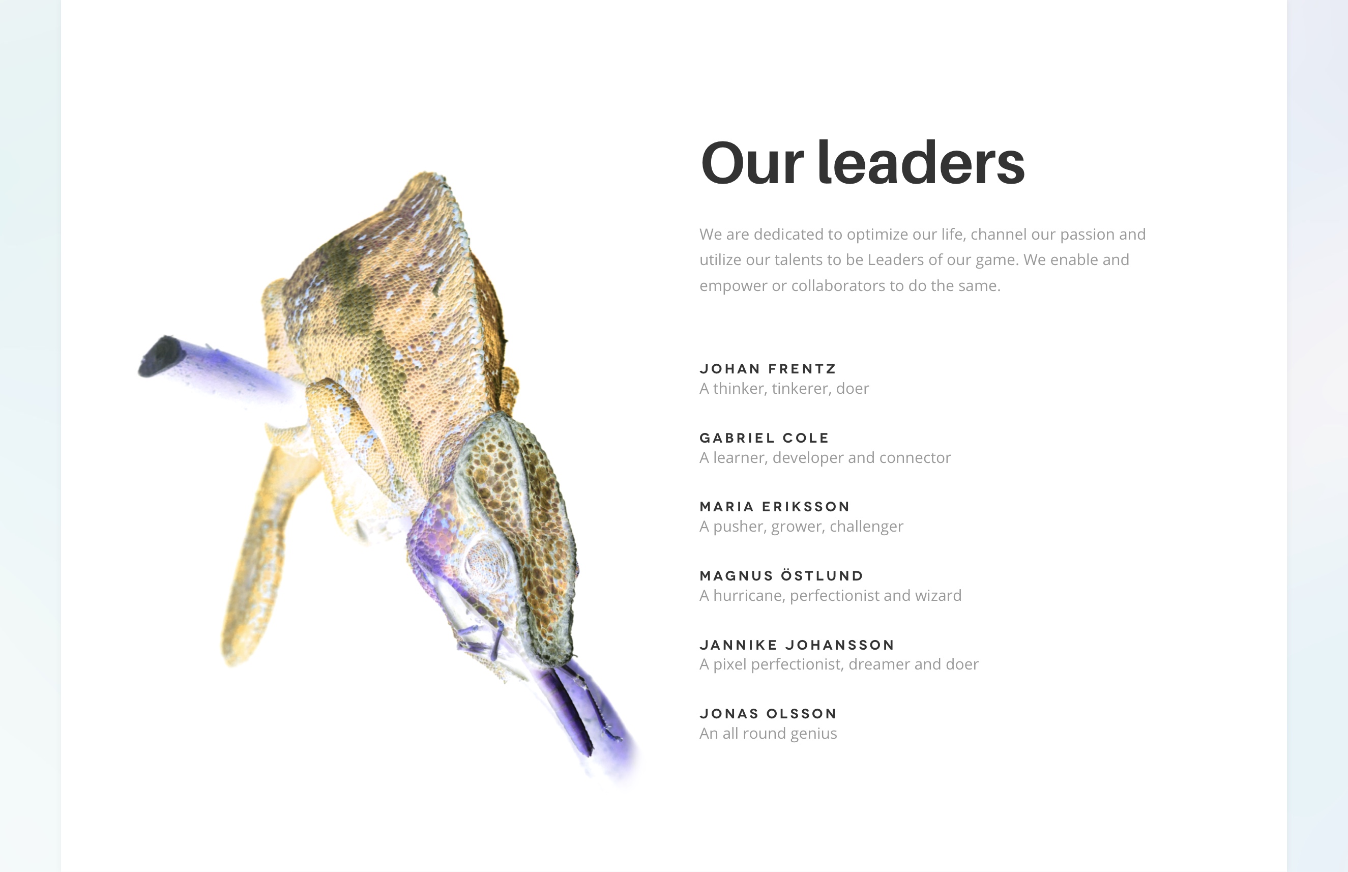 Lead XD web design leaders